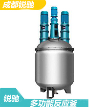 多功能反應(yīng)釜的構(gòu)成結(jié)構(gòu)、參數(shù)技術(shù)典型的主體反應(yīng)設(shè)備設(shè)計(jì)特點(diǎn)-成